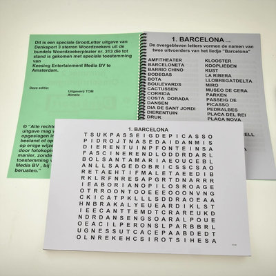 Grootletter woordzoeker - XL | Puzzelboek