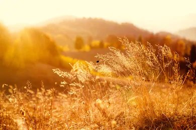 Veilig en warm - warmte in lichaam en geest