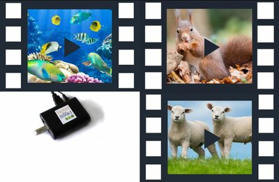 Abonnement - 3 jaar combi ALLE 24/7 natuurfilms - NU incl. GRATIS player | Beter door Beeld