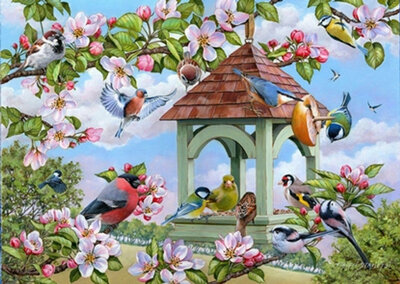 Puzzel - 250 XL stukjes - Práchtig vogelconcert
