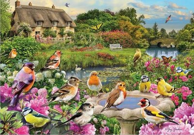 Puzzel - 250 XL stukjes - Vogelconcert bij de beek