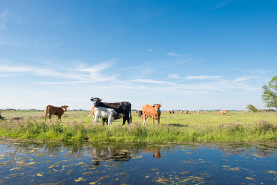 Landschap AB