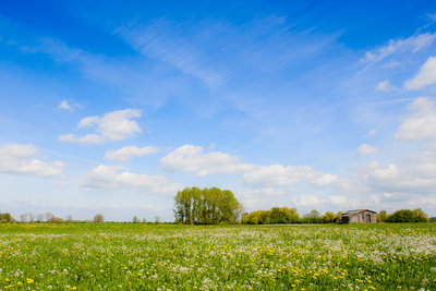 Landschap BQ